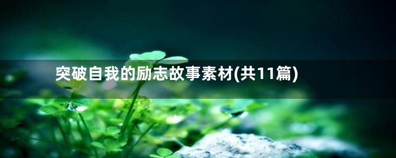 突破自我的励志故事素材(共11篇)