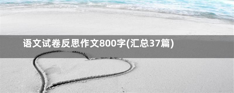 语文试卷反思作文800字(汇总37篇)