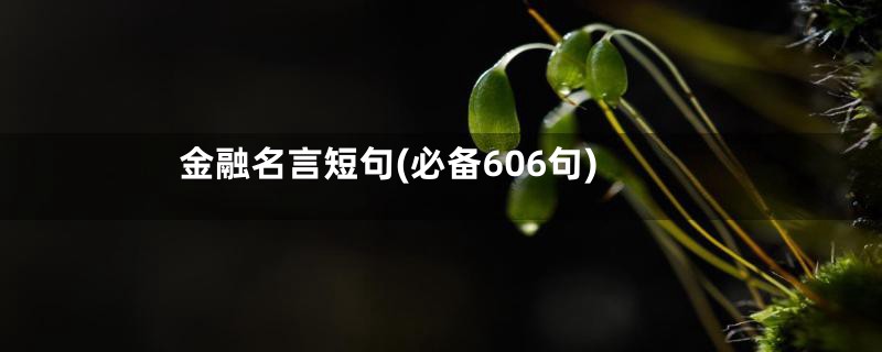 金融名言短句(必备606句)