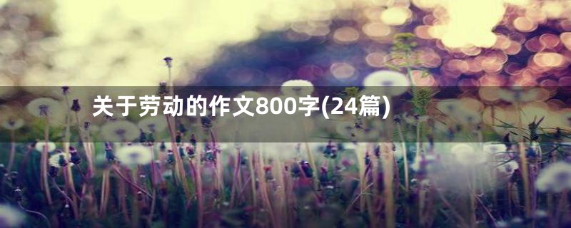 关于劳动的作文800字(24篇)