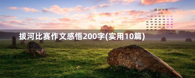 拔河比赛作文感悟200字(实用10篇)