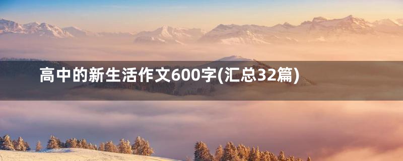 高中的新生活作文600字(汇总32篇)