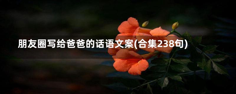 朋友圈写给爸爸的话语文案(合集238句)