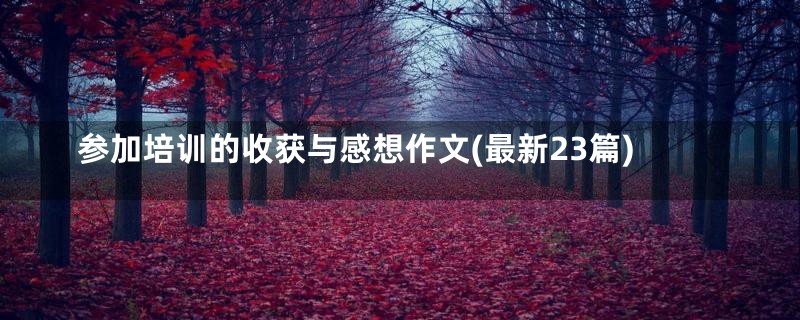 参加培训的收获与感想作文(最新23篇)