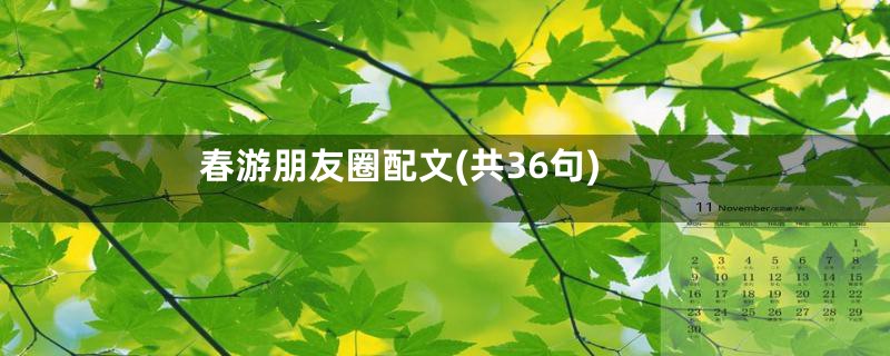 春游朋友圈配文(共36句)