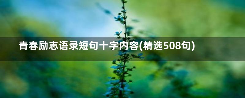 青春励志语录短句十字内容(精选508句)