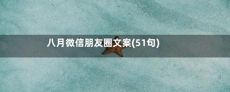 八月微信朋友圈文案(51句)