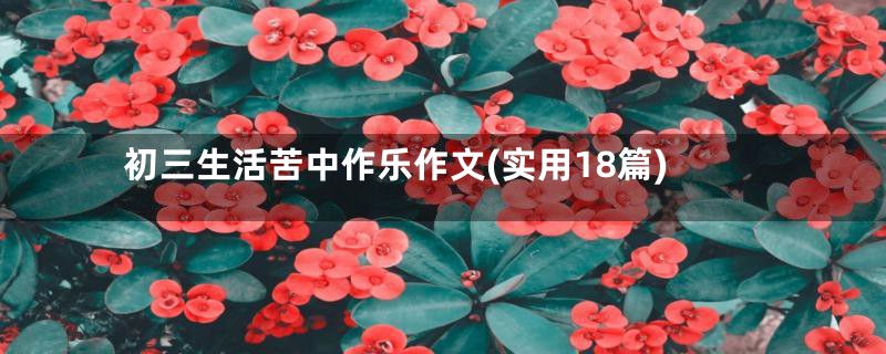 初三生活苦中作乐作文(实用18篇)