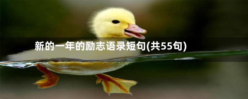 新的一年的励志语录短句(共55句)