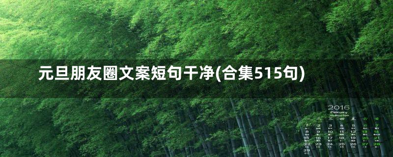 元旦朋友圈文案短句干净(合集515句)