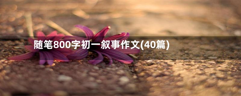 随笔800字初一叙事作文(40篇)