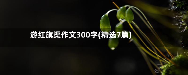 游红旗渠作文300字(精选7篇)