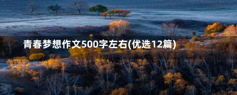 青春梦想作文500字左右(优选12篇)