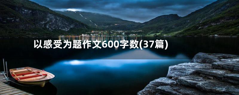 以感受为题作文600字数(37篇)