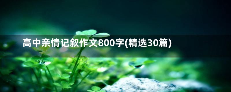 高中亲情记叙作文800字(精选30篇)