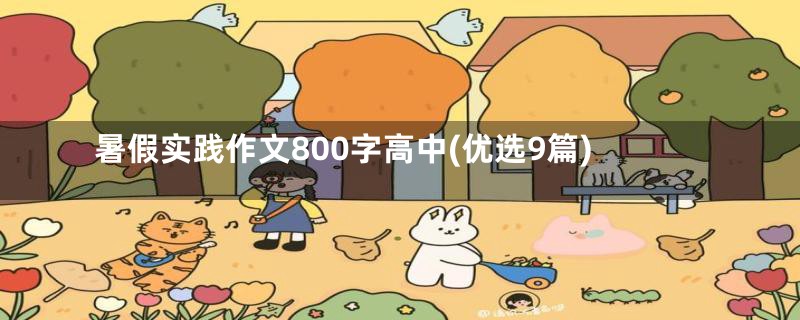 暑假实践作文800字高中(优选9篇)