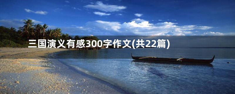 三国演义有感300字作文(共22篇)