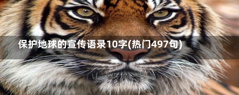 保护地球的宣传语录10字(热门497句)