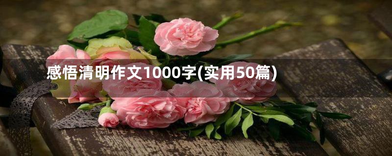 感悟清明作文1000字(实用50篇)