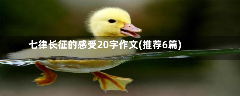 七律长征的感受20字作文(推荐6篇)