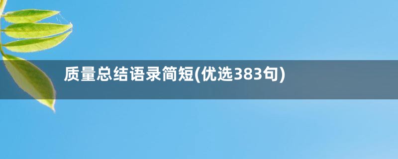 质量总结语录简短(优选383句)