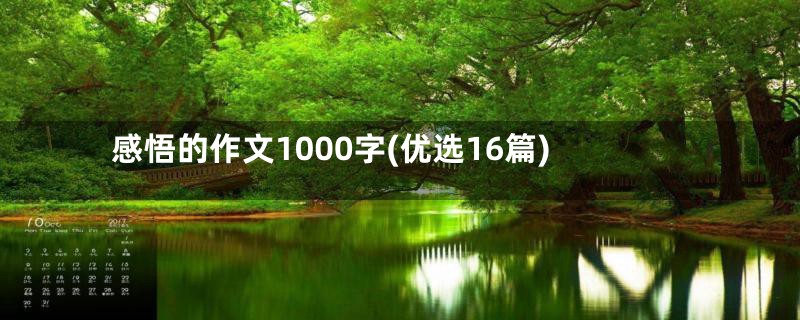 感悟的作文1000字(优选16篇)