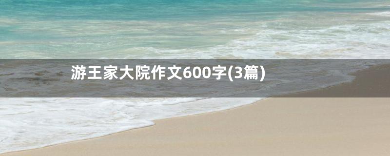 游王家大院作文600字(3篇)