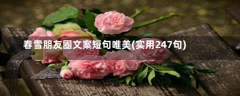 春雪朋友圈文案短句唯美(实用247句)