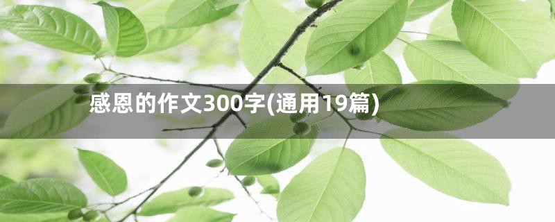 感恩的作文300字(通用19篇)