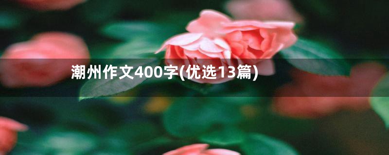 潮州作文400字(优选13篇)