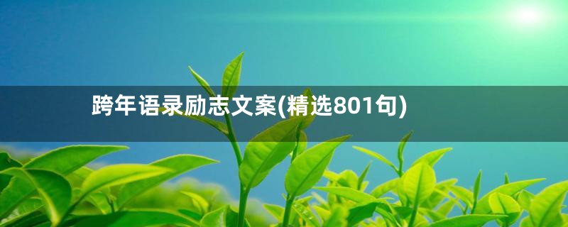 跨年语录励志文案(精选801句)