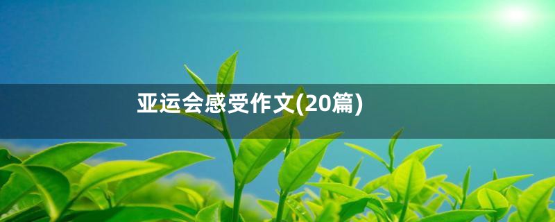 亚运会感受作文(20篇)