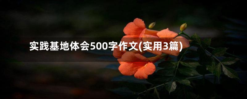 实践基地体会500字作文(实用3篇)