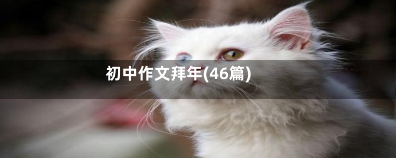 初中作文拜年(46篇)