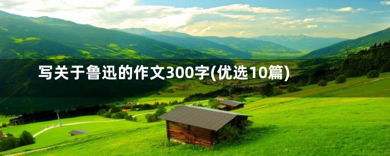 写关于鲁迅的作文300字(优选10篇)