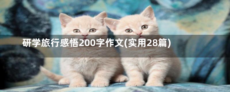 研学旅行感悟200字作文(实用28篇)