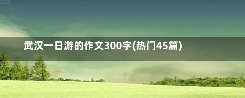 武汉一日游的作文300字(热门45篇)