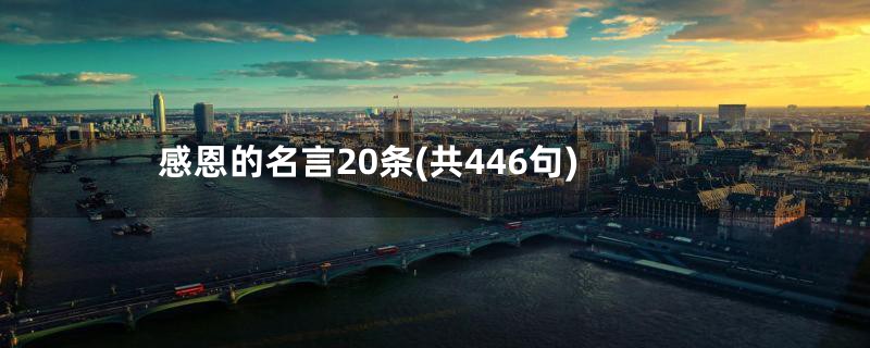 感恩的名言20条(共446句)