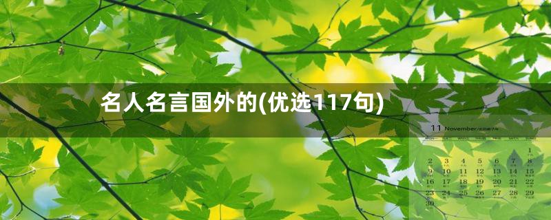 名人名言国外的(优选117句)