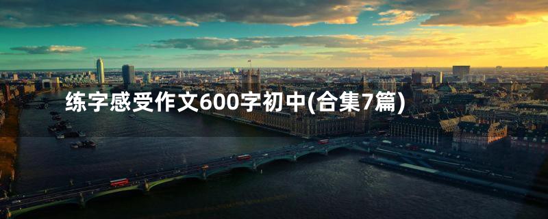 练字感受作文600字初中(合集7篇)