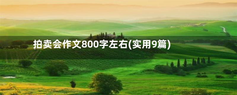 拍卖会作文800字左右(实用9篇)