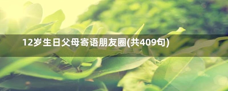 12岁生日父母寄语朋友圈(共409句)