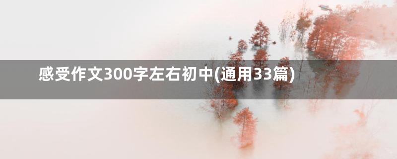 感受作文300字左右初中(通用33篇)