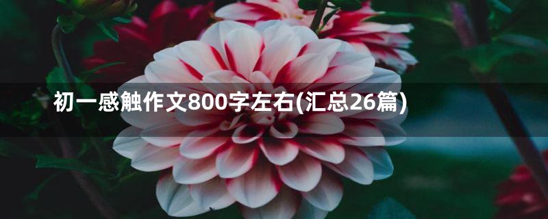 初一感触作文800字左右(汇总26篇)