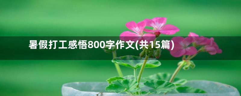 暑假打工感悟800字作文(共15篇)