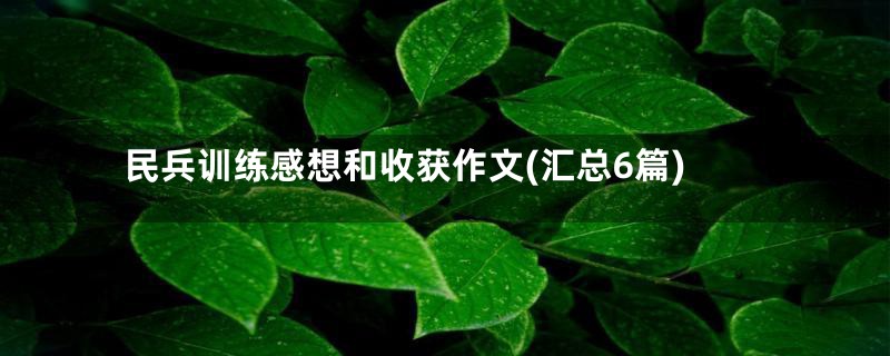 民兵训练感想和收获作文(汇总6篇)