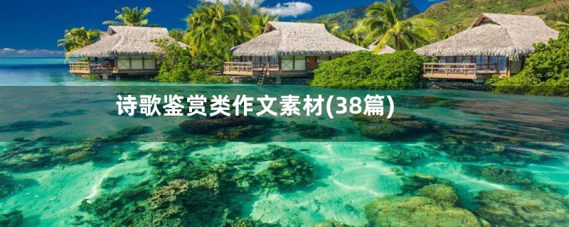 诗歌鉴赏类作文素材(38篇)