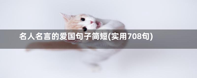 名人名言的爱国句子简短(实用708句)