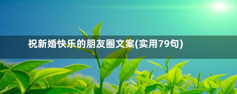 祝新婚快乐的朋友圈文案(实用79句)