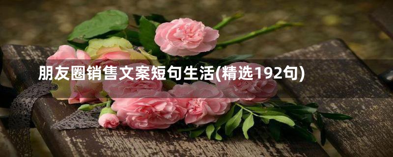 朋友圈销售文案短句生活(精选192句)